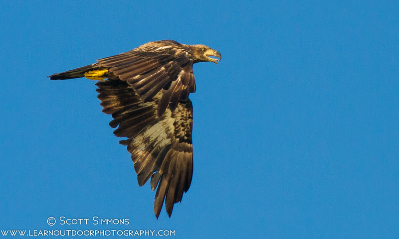 Photo & Video Sharing by SmugMug Photo & Video Sharing by SmugMug