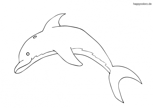 delfin bilder zum ausmalen - ausmalbilder