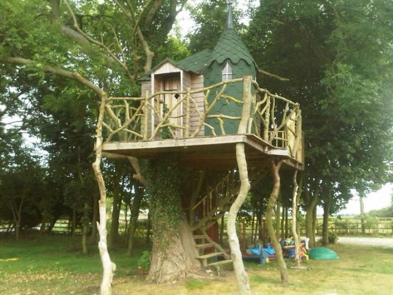 Desain rumah pohon ini bikin kamu betah tinggal