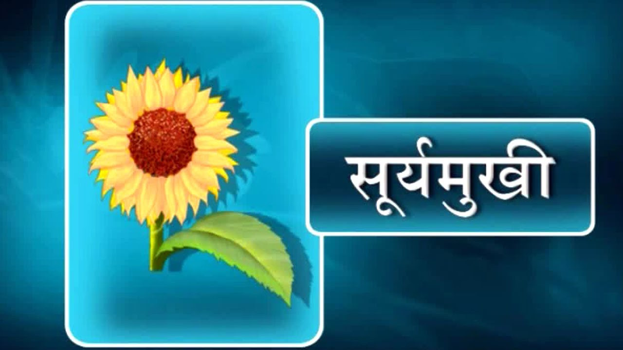 Flora Name With Hindi And English