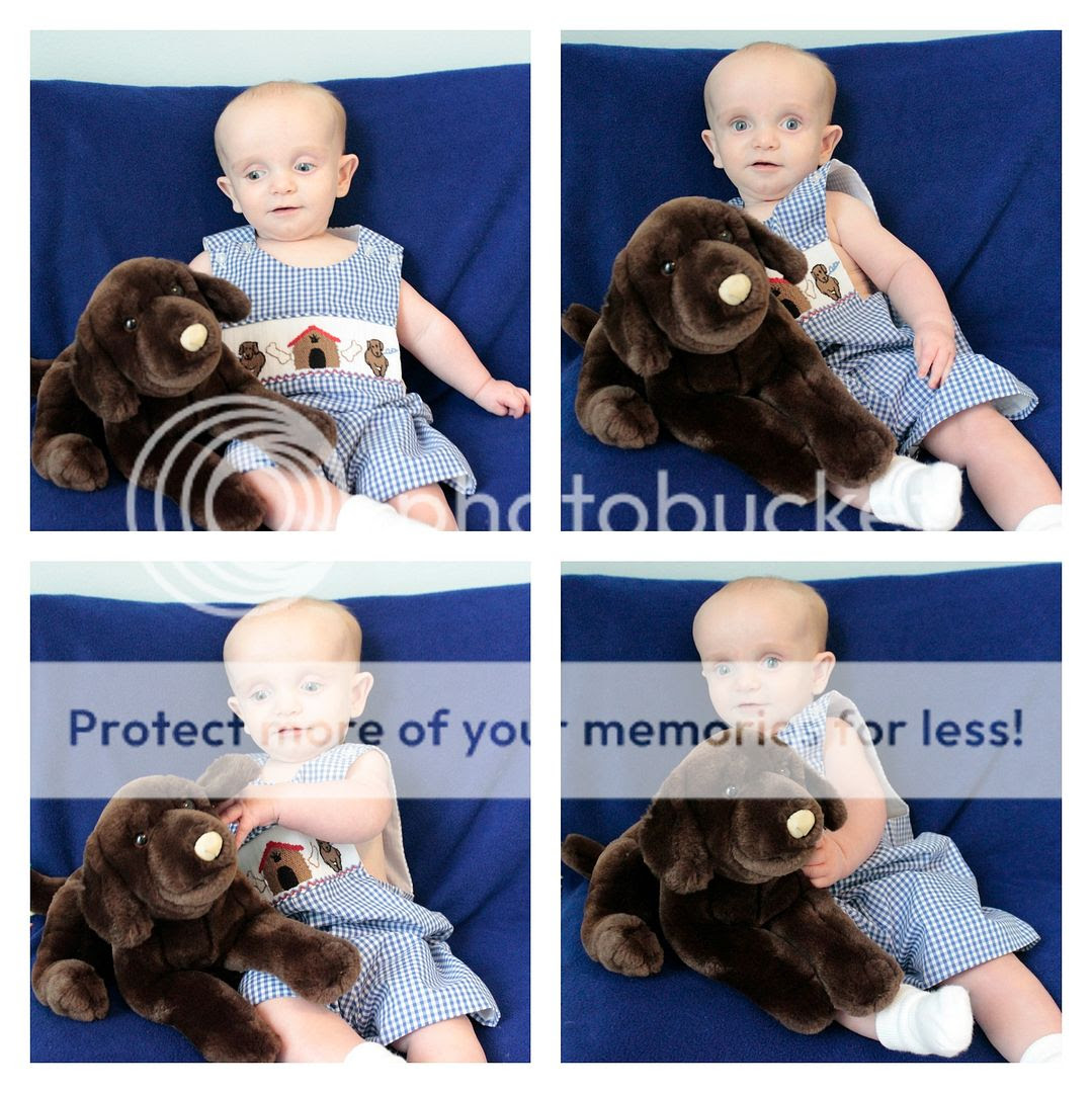photo Mattox.collage21_zps99jmy3qx.jpg