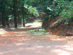 Photo0053