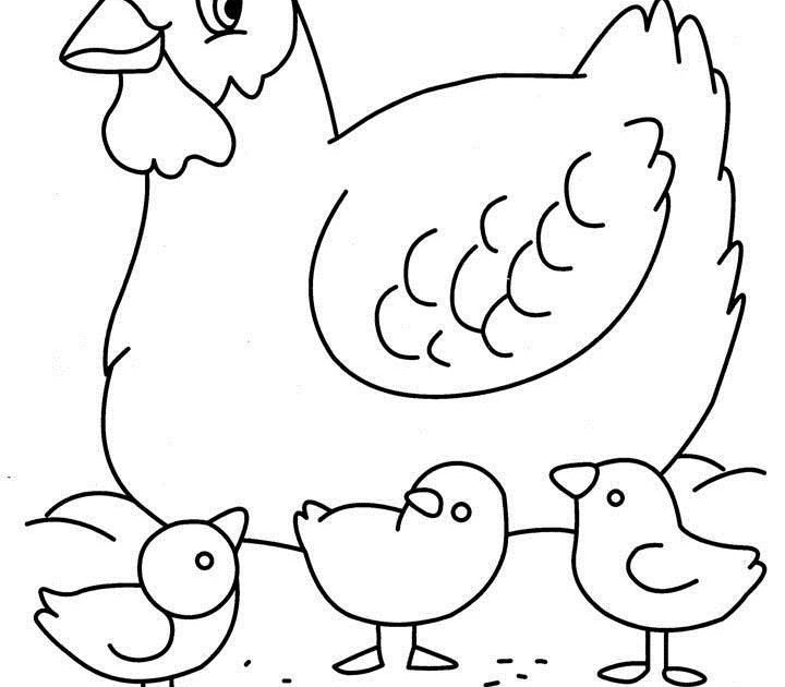Gambar Mewarnai Ayam - Kumpulan Sketsa Gambar Hewan Untuk Gambar ...