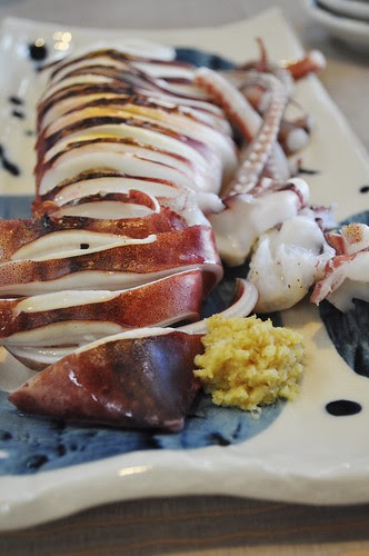 squid