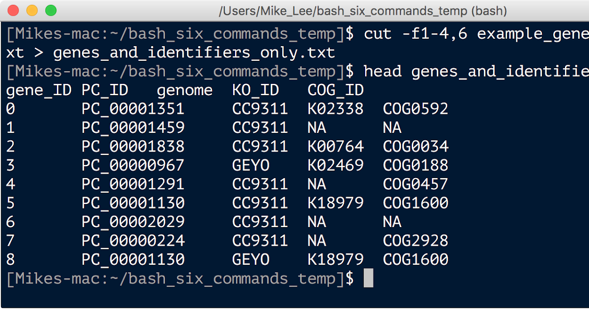 Parallel SSH. R Commander. Basic WSL Commands.