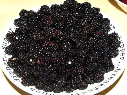Blackberries in a bowl