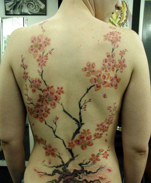 ndase hibby KOTAK: japanese cherry tree tattoo