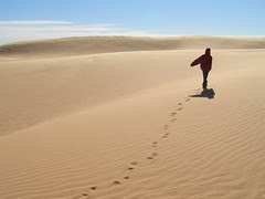 Wandering