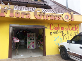 Flora Girassol