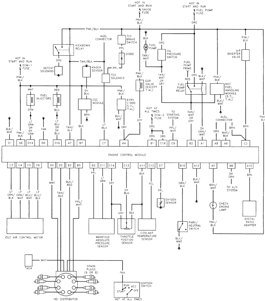 4 3l V6 Vortec Engine Wire Diagram
