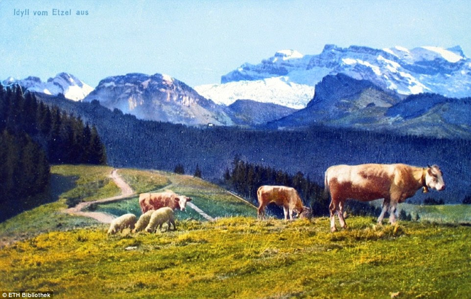 Picturesque: Adolf's friends and family contributed to the collection with postcards such as this from Mount Etzel