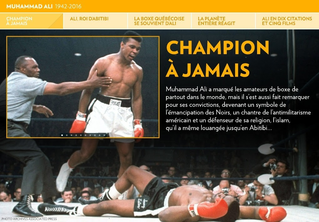 [532] Boxe Citation De Combattant