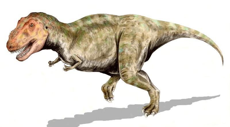 end of cretaceous period