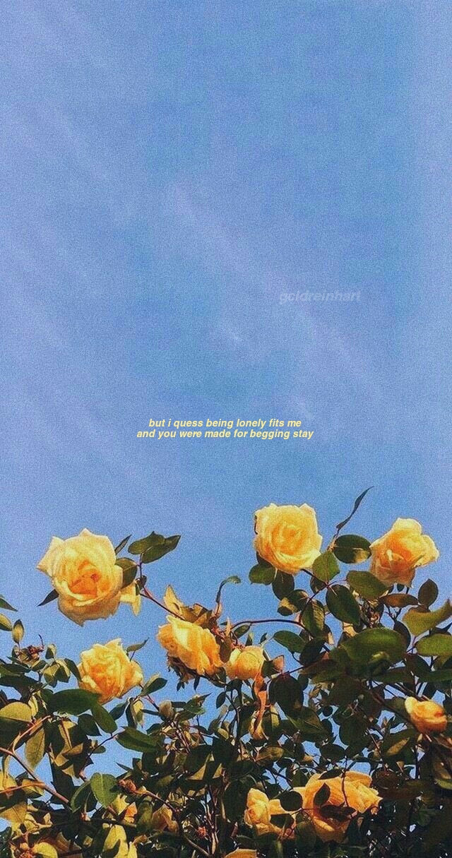Quote Aesthetic Billie Eilish Aesthetic Wallpaper Daily Quotes