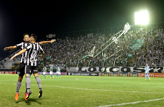 Botafogo x Palmeiras (Foto: Vitor Silva / SSpress / Botafogo)