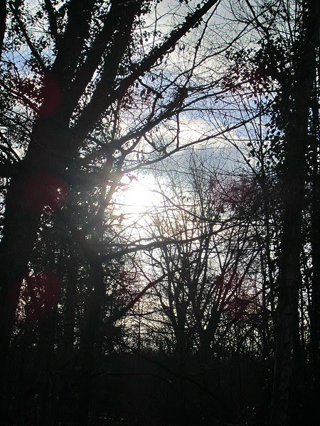 Kerstvakantie2012-03