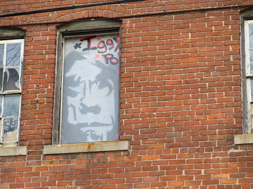 Iggy Pop Iggy Pop Window