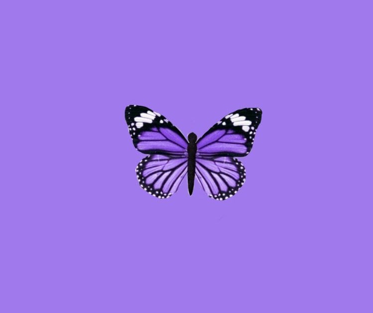 Aesthetic Glitter Butterfly Wallpaper Desktop - Insight from Leticia