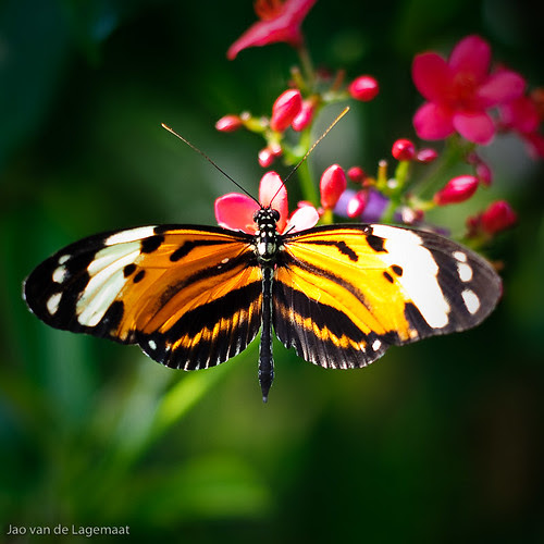 Symmetric