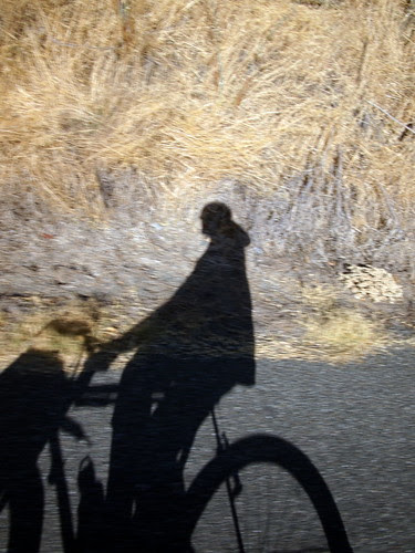 Shadow Panda on River Road
