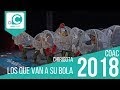 Los que van a su bola (Chirigota). COAC 2018