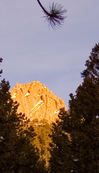 GGCSP_lightroom_crop