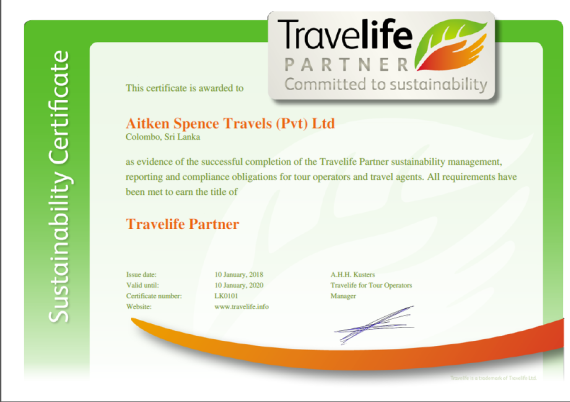 travel live certification