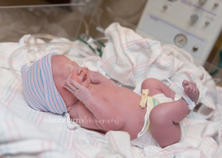 boise newborn photographers