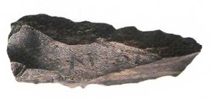 Lame denticulée de la période atérienne (Oued Asziouel) Lame denticulée de la période atérienne (Oued Asziouel)