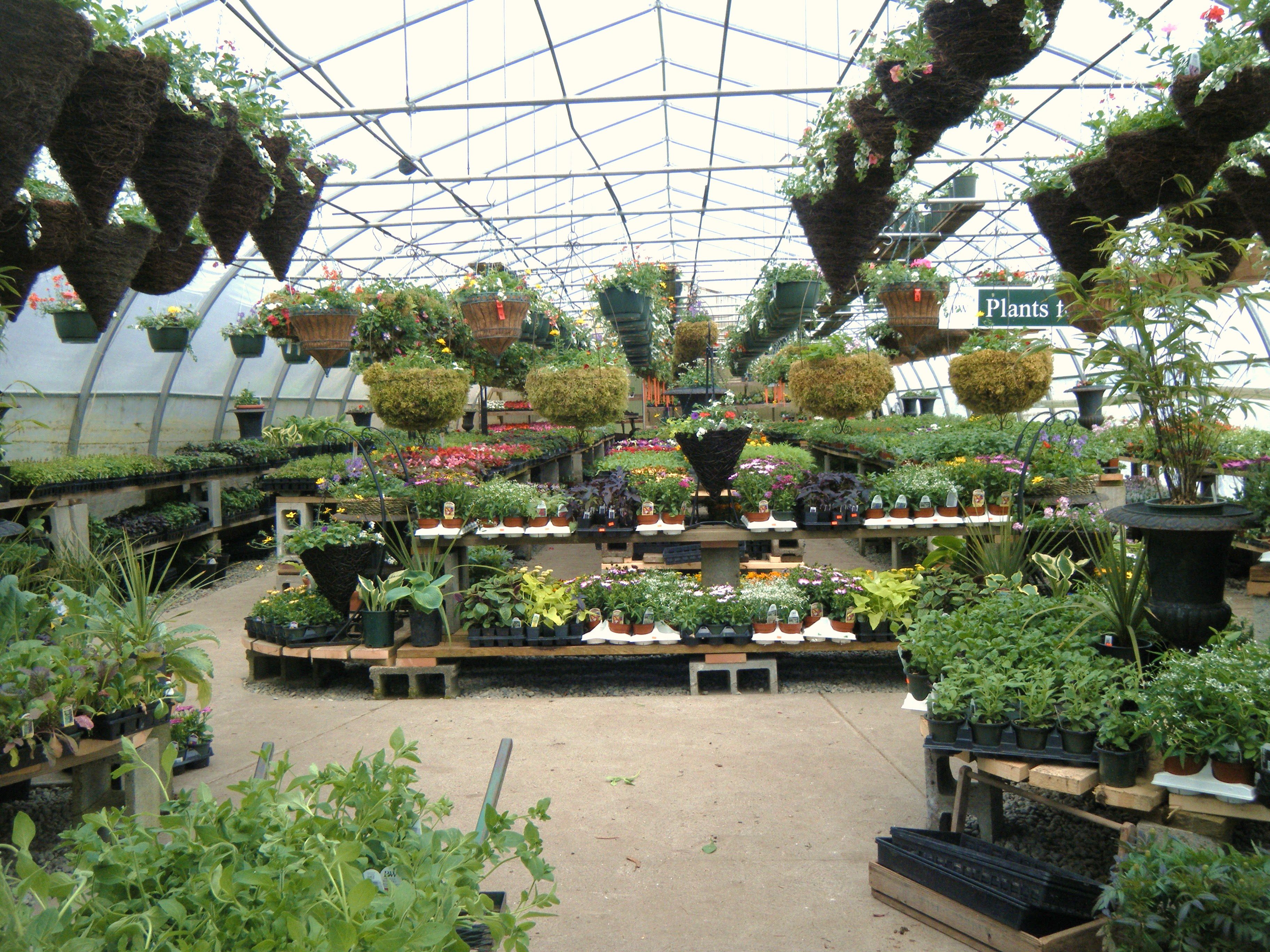 Garden Centres Near Me