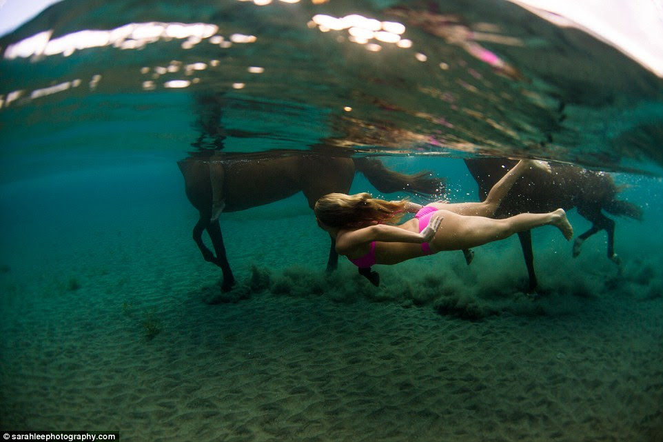 While it looks like a unique experience, swimming underwater while horses run alongside is commonplace in Dominica