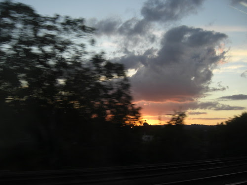 Cloud-bush2