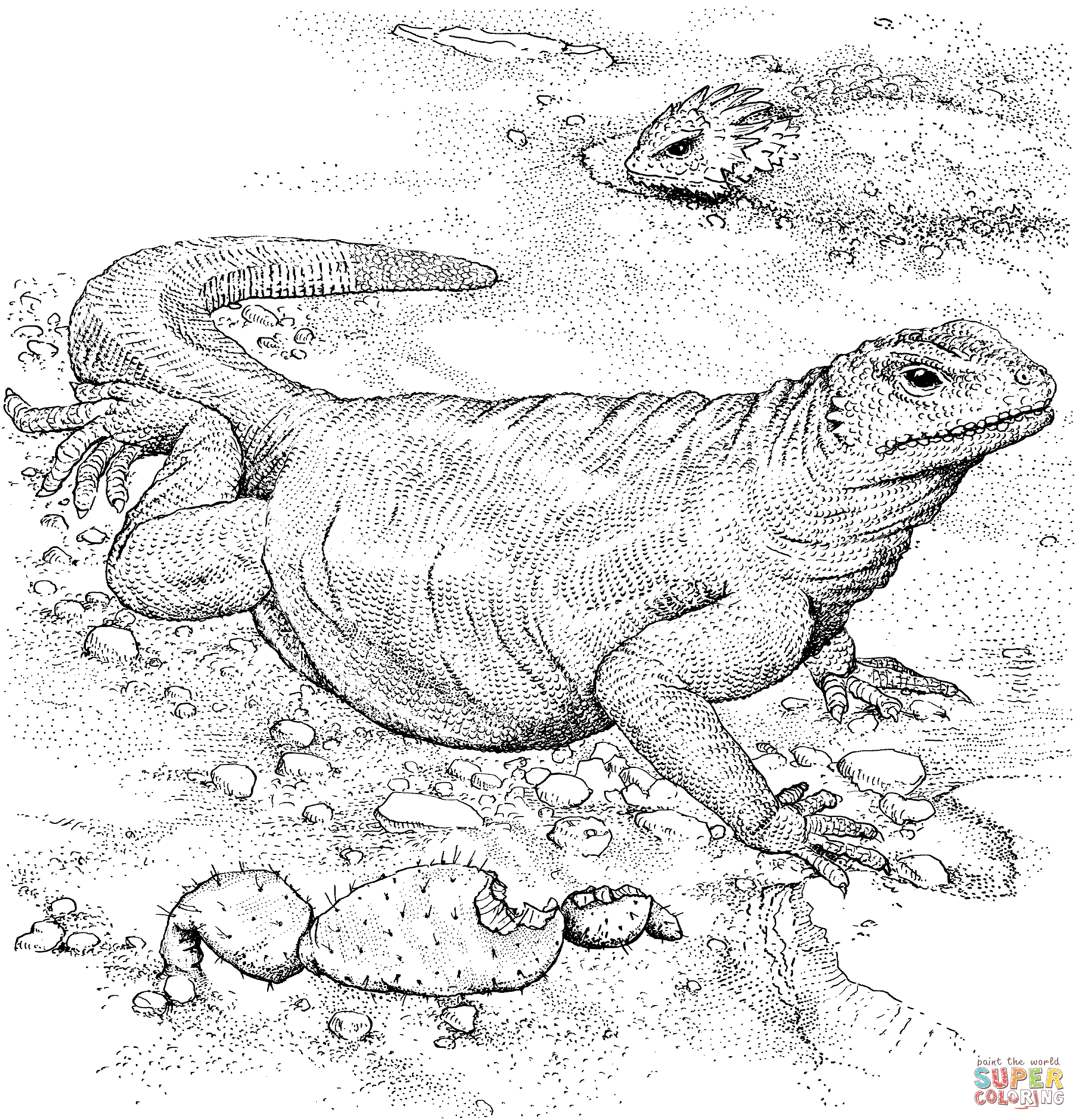 10 Coloriage Dragon De Komodo | Imprimer et Obtenir une ...