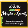 MONIN JEU COCKTAIL MOJITO VS SPRITZ (Achat) MONIN JEU COCKTAIL MOJITO VS SPRITZ (Achat)
