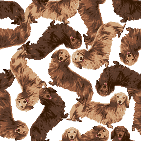 50 スマホ 壁紙 ランダム 美しい花の画像
