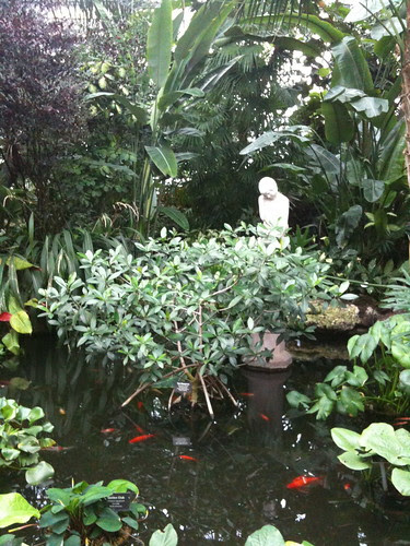 The entryway pond