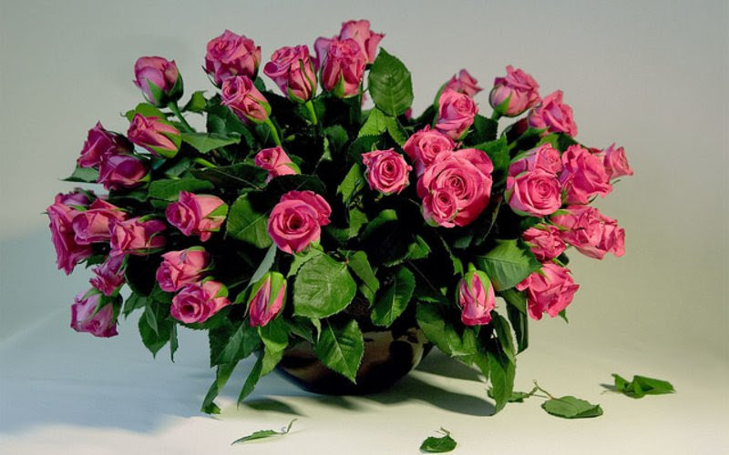 1 800 Flowers Promo Code Free Shipping