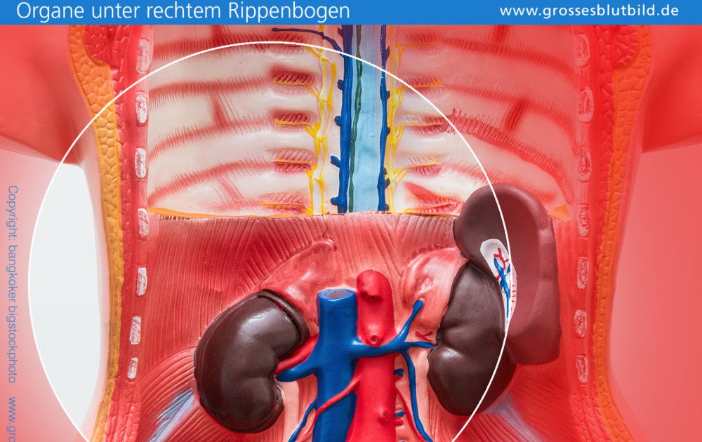 Schmerzen Unterm Rechten Rippenbogen Blähungen - Captions Schmerzen Unterm Rechten Rippenbogen Blähungen - Captions