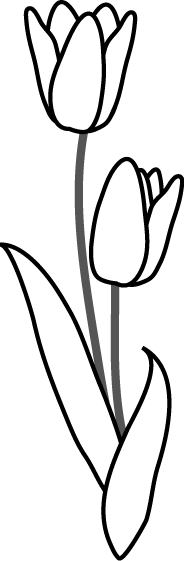 驚くばかりチューリップ イラスト 白黒 美しい花の画像