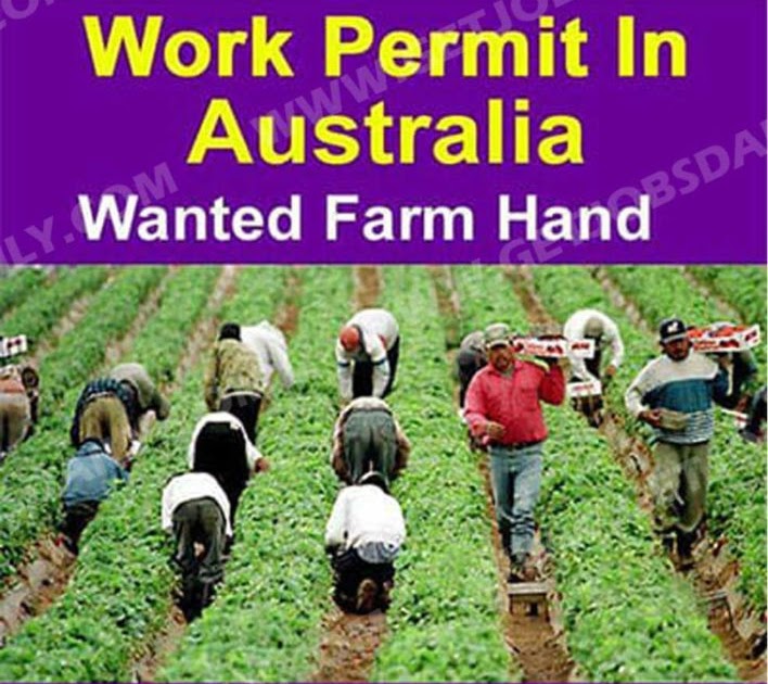 Farm Jobs In Australia For Foreigners | See More...
