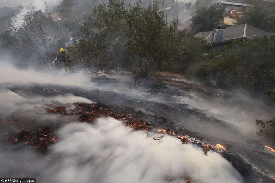 A firefighter puts out hotspots on a smoldering hillside in Montecito, California as strong winds blow smoke and embers inland