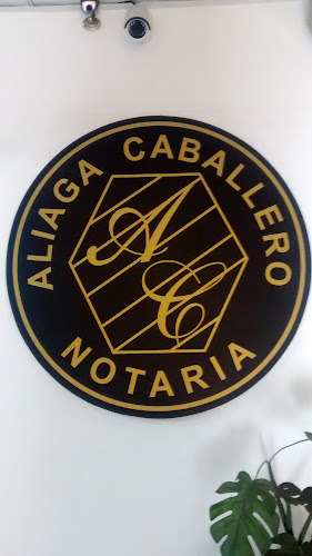 Comentarios y opiniones de NOTARIA ALIAGA CABALLERO