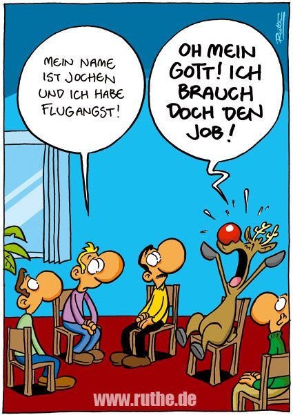 Weihnachten Witzig Flugzeug
