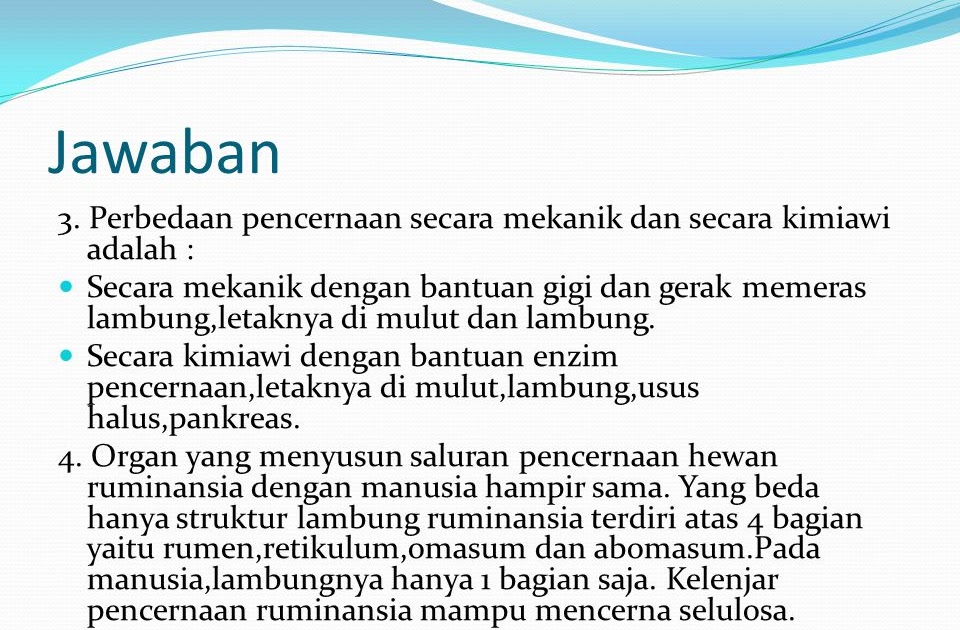 Apa perbedaan pencernaan mekanik dan kimiawi