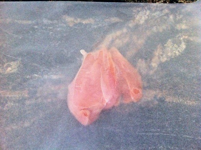 Chicken Breast Between 2 Sheets of Waxed Paper
