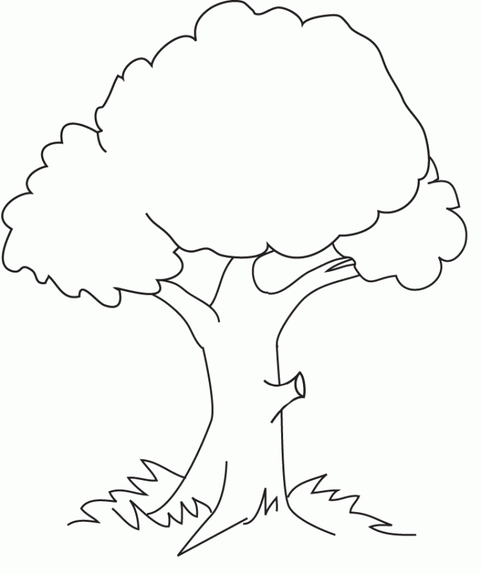 Featured image of post How To Draw A Tree For Kids / Draw out the tree trunk as well as the three prong root system, and then erase the one circle you drew in step one to clean up the drawing.