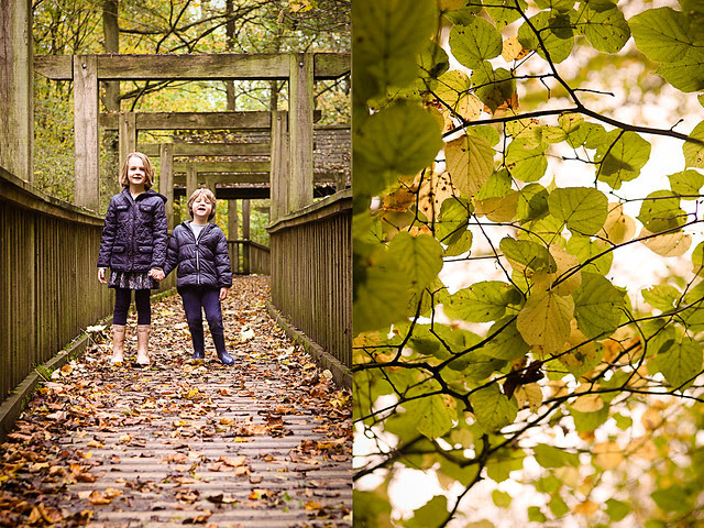 Untitled-1 copy