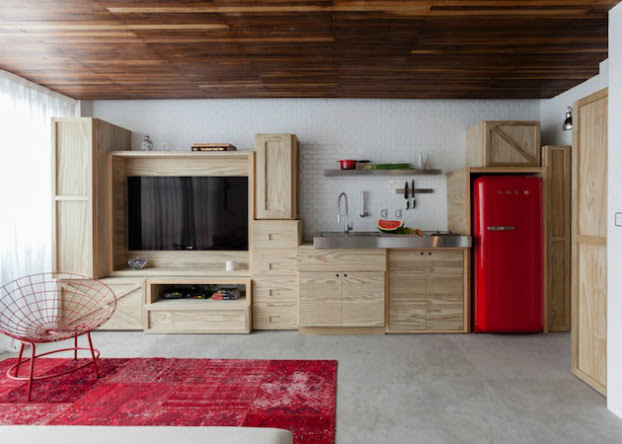 Youthful and Unpretentious Small Apartment 2