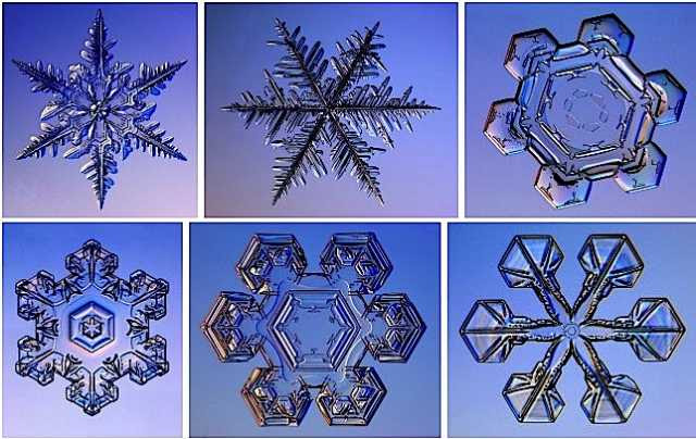 snowflakes