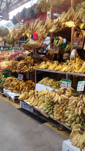 Fruit Stefany Mi Platanal